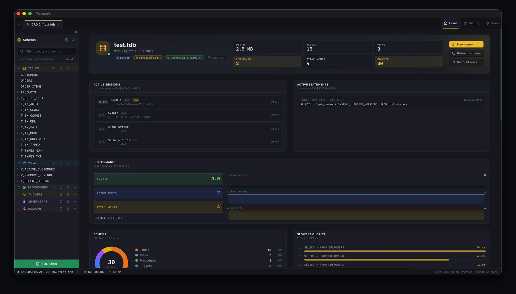 The Plamenix dashboard: database size, table and view counts, live attachments and statements from the MON$ tables, a transactions-per-second chart, a schema breakdown and the slowest recent queries.
